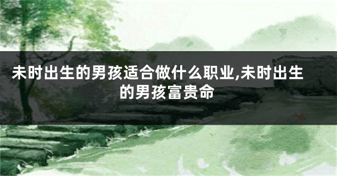 未时出生的男孩适合做什么职业,未时出生的男孩富贵命