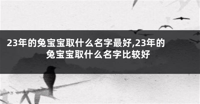 23年的兔宝宝取什么名字最好,23年的兔宝宝取什么名字比较好