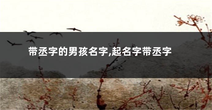 带丞字的男孩名字,起名字带丞字