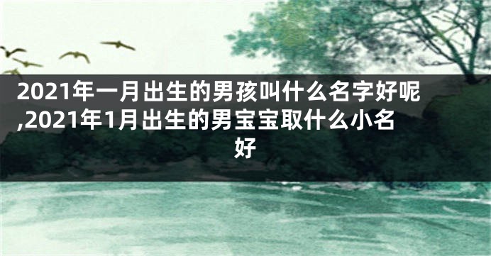 2021年一月出生的男孩叫什么名字好呢,2021年1月出生的男宝宝取什么小名好