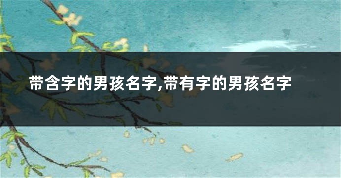 带含字的男孩名字,带有字的男孩名字