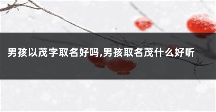 男孩以茂字取名好吗,男孩取名茂什么好听