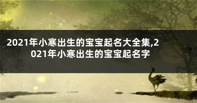 2021年小寒出生的宝宝起名大全集,2021年小寒出生的宝宝起名字
