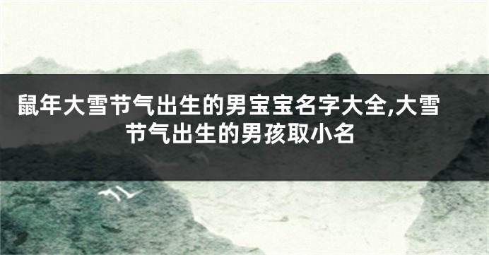 鼠年大雪节气出生的男宝宝名字大全,大雪节气出生的男孩取小名
