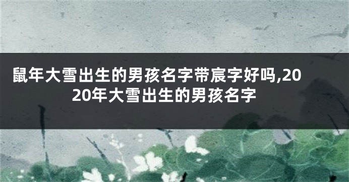 鼠年大雪出生的男孩名字带宸字好吗,2020年大雪出生的男孩名字
