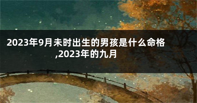 2023年9月未时出生的男孩是什么命格,2023年的九月