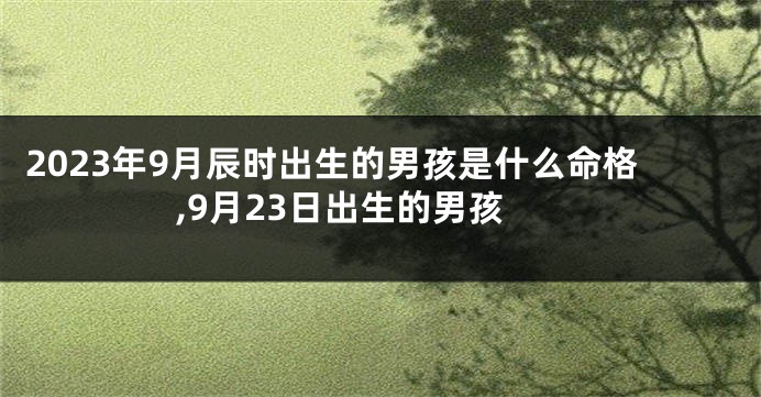 2023年9月辰时出生的男孩是什么命格,9月23日出生的男孩