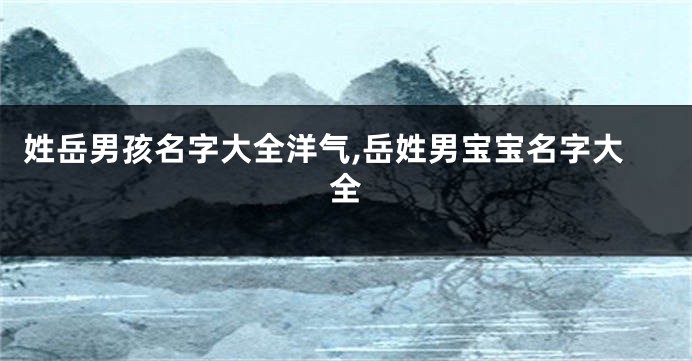 姓岳男孩名字大全洋气,岳姓男宝宝名字大全