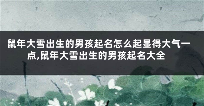 鼠年大雪出生的男孩起名怎么起显得大气一点,鼠年大雪出生的男孩起名大全