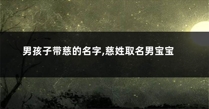 男孩子带慈的名字,慈姓取名男宝宝