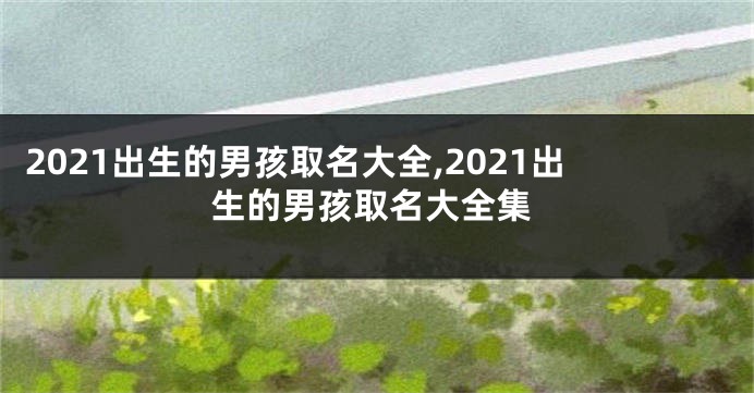 2021出生的男孩取名大全,2021出生的男孩取名大全集