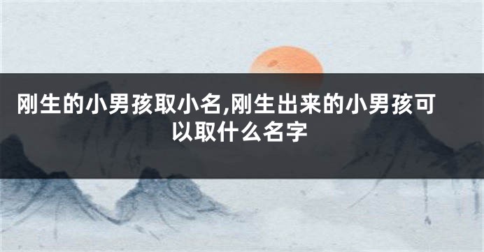 刚生的小男孩取小名,刚生出来的小男孩可以取什么名字