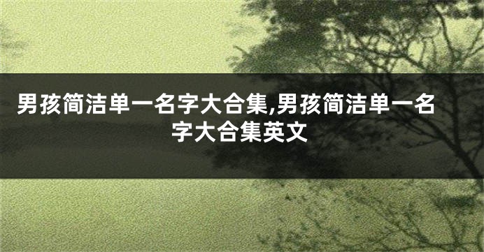 男孩简洁单一名字大合集,男孩简洁单一名字大合集英文