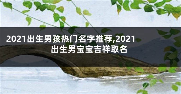 2021出生男孩热门名字推荐,2021出生男宝宝吉祥取名