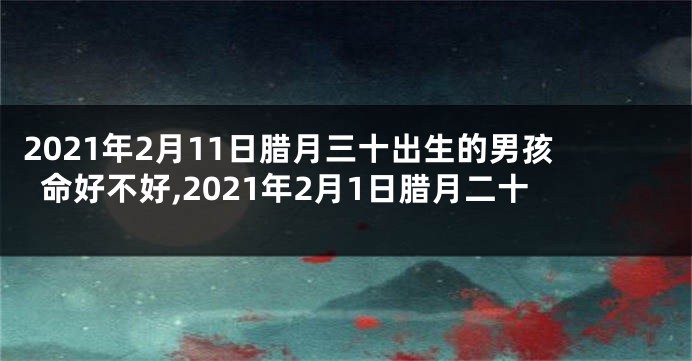 2021年2月11日腊月三十出生的男孩命好不好,2021年2月1日腊月二十