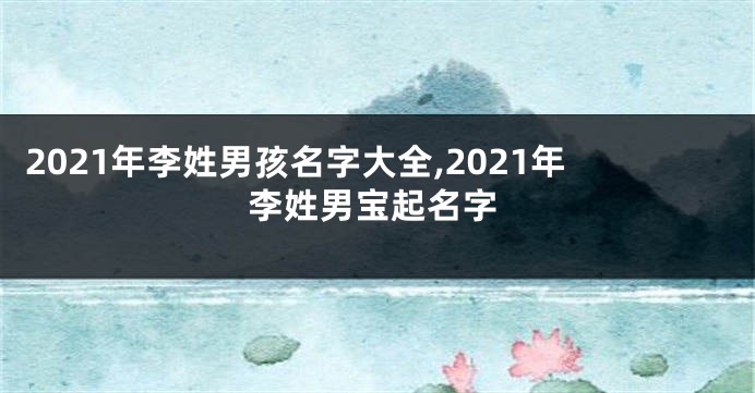 2021年李姓男孩名字大全,2021年李姓男宝起名字