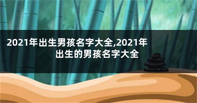 2021年出生男孩名字大全,2021年出生的男孩名字大全