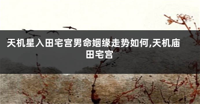 天机星入田宅宫男命姻缘走势如何,天机庙田宅宫