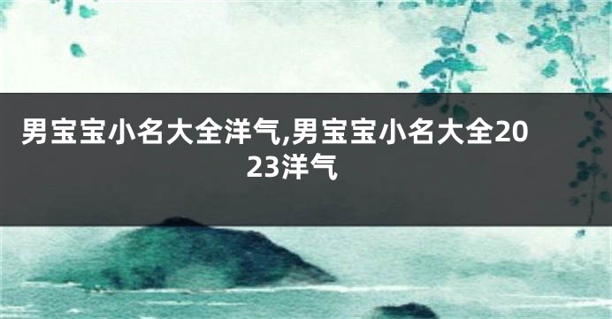 男宝宝小名大全洋气,男宝宝小名大全2023洋气