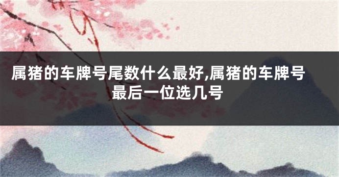 属猪的车牌号尾数什么最好,属猪的车牌号最后一位选几号