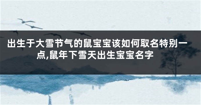出生于大雪节气的鼠宝宝该如何取名特别一点,鼠年下雪天出生宝宝名字
