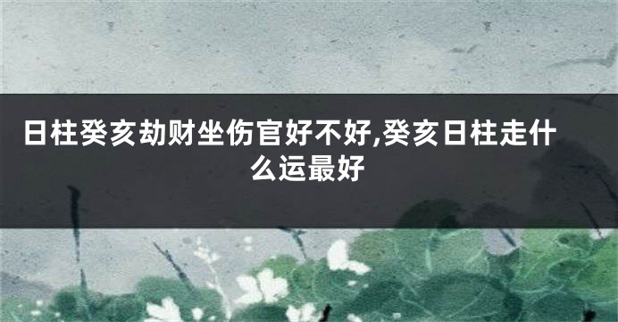 日柱癸亥劫财坐伤官好不好,癸亥日柱走什么运最好