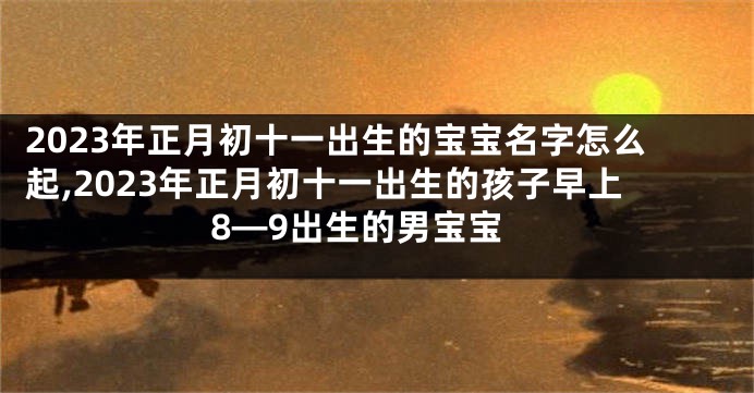 2023年正月初十一出生的宝宝名字怎么起,2023年正月初十一出生的孩子早上8—9出生的男宝宝