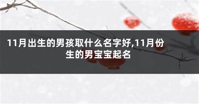 11月出生的男孩取什么名字好,11月份生的男宝宝起名