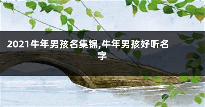 2021牛年男孩名集锦,牛年男孩好听名字
