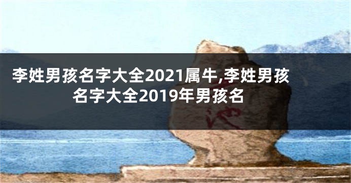 李姓男孩名字大全2021属牛,李姓男孩名字大全2019年男孩名
