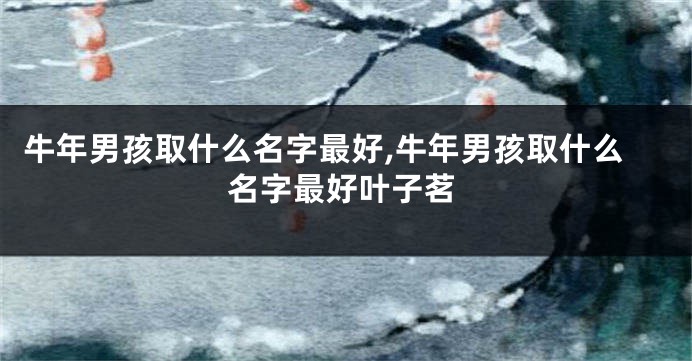 牛年男孩取什么名字最好,牛年男孩取什么名字最好叶子茗
