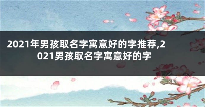 2021年男孩取名字寓意好的字推荐,2021男孩取名字寓意好的字
