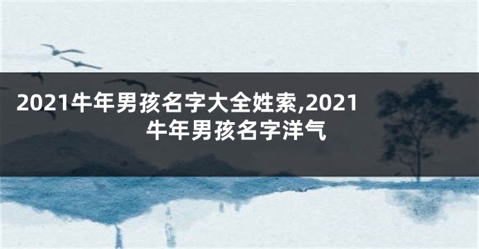 2021牛年男孩名字大全姓索,2021牛年男孩名字洋气