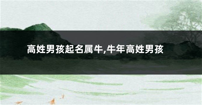 高姓男孩起名属牛,牛年高姓男孩