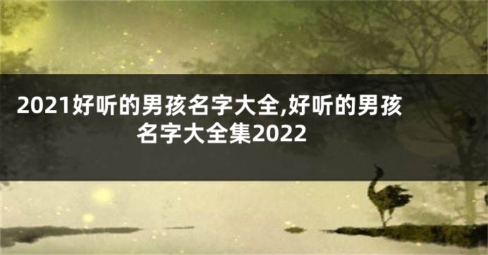 2021好听的男孩名字大全,好听的男孩名字大全集2022