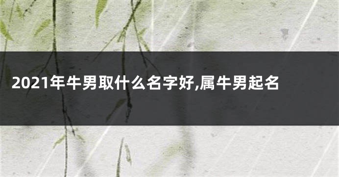 2021年牛男取什么名字好,属牛男起名