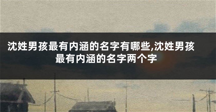 沈姓男孩最有内涵的名字有哪些,沈姓男孩最有内涵的名字两个字