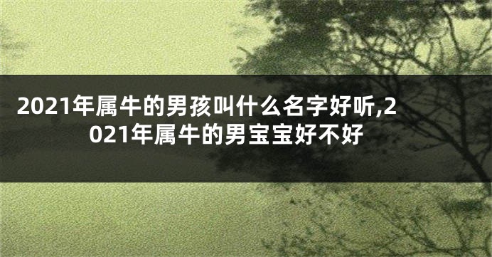 2021年属牛的男孩叫什么名字好听,2021年属牛的男宝宝好不好