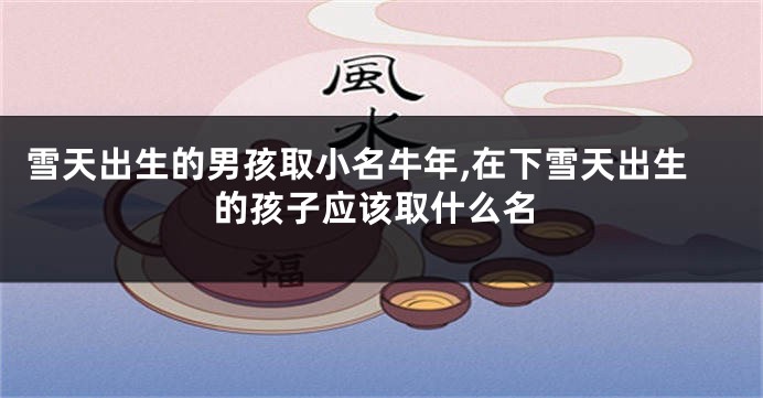 雪天出生的男孩取小名牛年,在下雪天出生的孩子应该取什么名