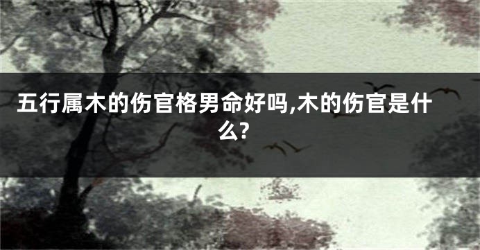 五行属木的伤官格男命好吗,木的伤官是什么?