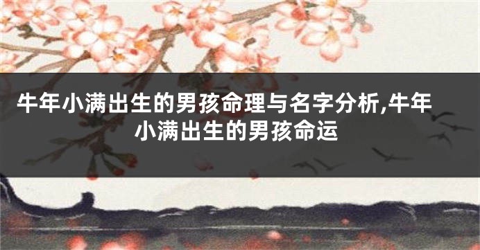 牛年小满出生的男孩命理与名字分析,牛年小满出生的男孩命运