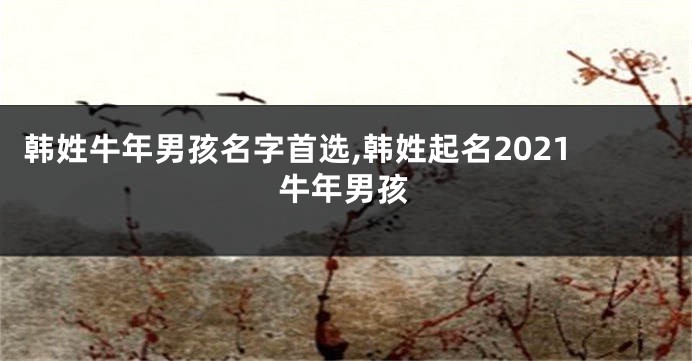 韩姓牛年男孩名字首选,韩姓起名2021牛年男孩