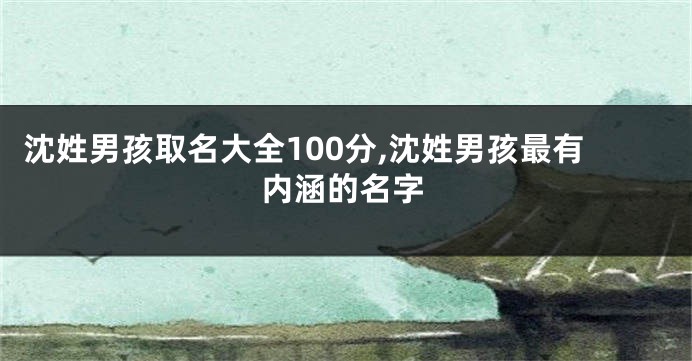 沈姓男孩取名大全100分,沈姓男孩最有内涵的名字