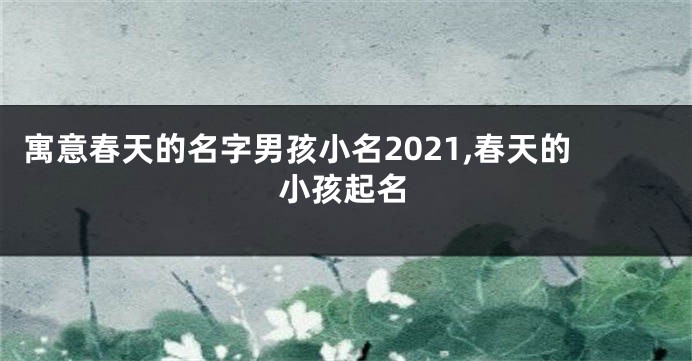 寓意春天的名字男孩小名2021,春天的小孩起名