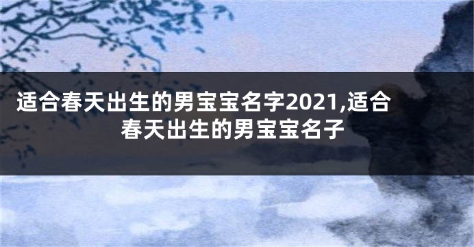 适合春天出生的男宝宝名字2021,适合春天出生的男宝宝名子