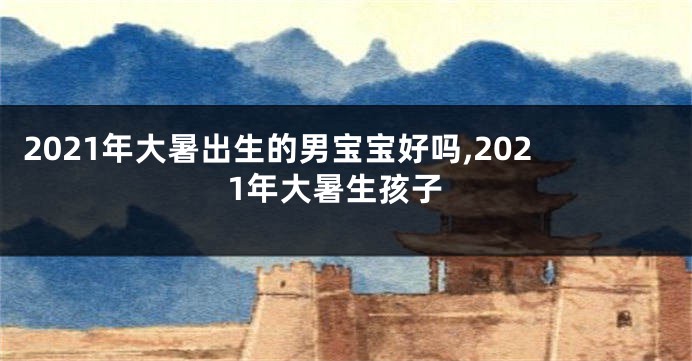 2021年大暑出生的男宝宝好吗,2021年大暑生孩子