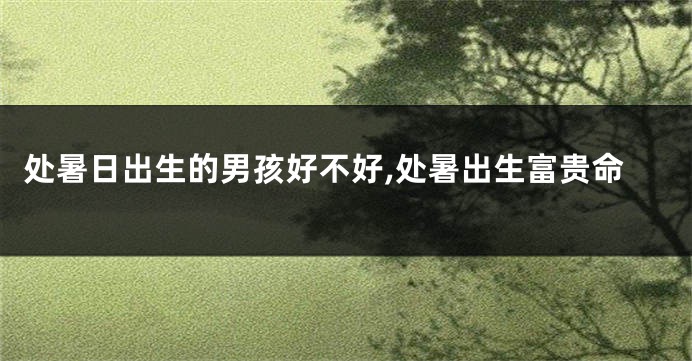 处暑日出生的男孩好不好,处暑出生富贵命