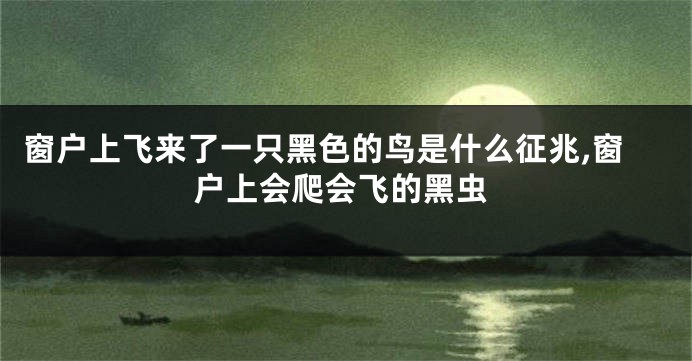窗户上飞来了一只黑色的鸟是什么征兆,窗户上会爬会飞的黑虫