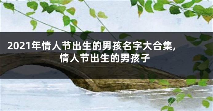 2021年情人节出生的男孩名字大合集,情人节出生的男孩子