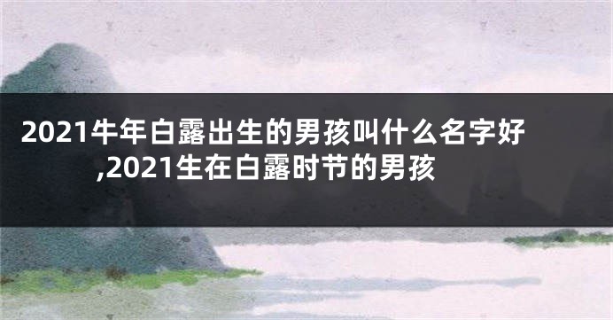 2021牛年白露出生的男孩叫什么名字好,2021生在白露时节的男孩